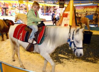 Pony’s verdwijnen op de kermis, GAIA tevreden