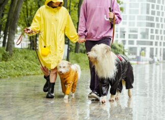 Weerman heeft slecht nieuws: ‘guur herfstweer’