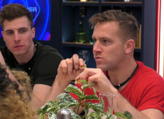 Sharon en Kristof uit Big Brother hebben groot nieuws!